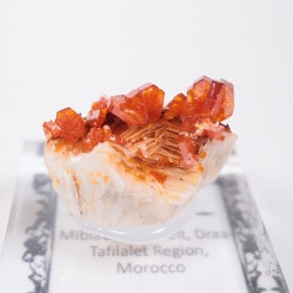 ����å��� �Хʥǥ��ʥ���