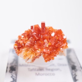 ����å��� �Хʥǥ��ʥ���