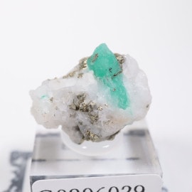 Muzo�ۻ� �������