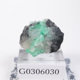 Muzo�ۻ� �������