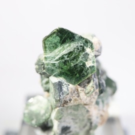 �ᥭ������ �����ȥʥ��ȡʥ����ȥ��С�