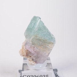 Coronel Murta�� �ȥ�ޥ��