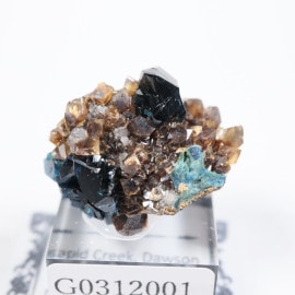 Rapid Creek�� �饺�饤�ȡ�ŷ���С�