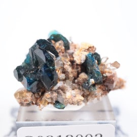 Rapid Creek�� �饺�饤�ȡ�ŷ���С�