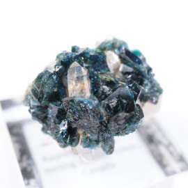 Rapid Creek�� �饺�饤�ȡ�ŷ���С�