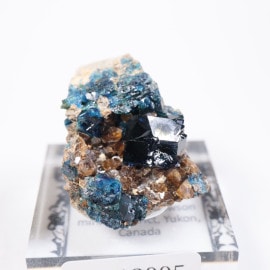 Rapid Creek�� �饺�饤�ȡ�ŷ���С�