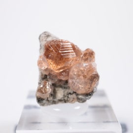 Jeffrey�ۻ��� �����ͥå�