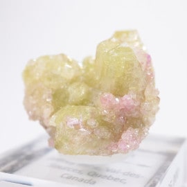 Jeffrey�ۻ��� �٥��ӥ��ʥ���