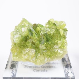 Jeffrey�ۻ��� �٥��ӥ��ʥ���