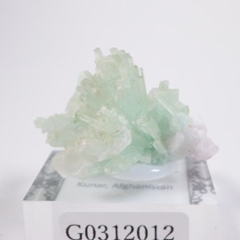 ���ե��˥����� �ȥ�ޥ��