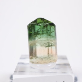 Barra de Salinas�� �ȥ�ޥ��