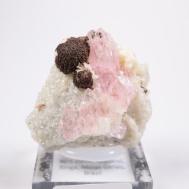 �֥饸�뻺 ��������������