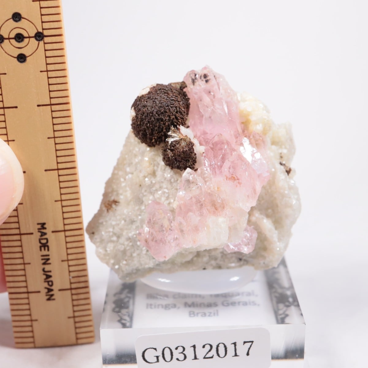 ブラジル産 ローズクォーツ | 鉱物標本,カ行,クォーツ/水晶 | ほたるみ