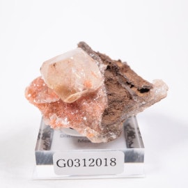 �ᥭ������ ���륵����