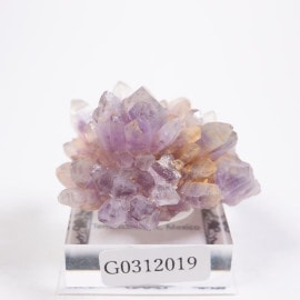 �ᥭ������ ���᥷����