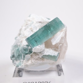 ���ե��˥����� �ȥ�ޥ��