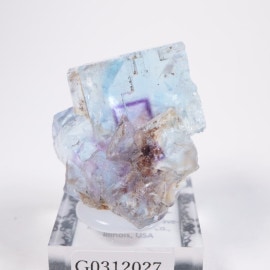 Minerva #1�ۻ� �ե����饤��