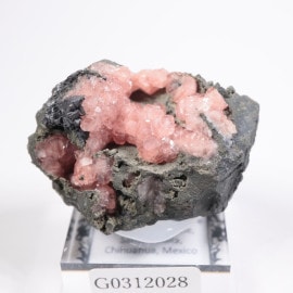 Potosi�ۻ��� �����ɥ���������