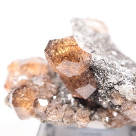 Jeffrey�ۻ��� ��������顼on����Υ�����