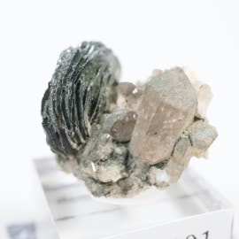 �������� �إޥ����ȡ���������