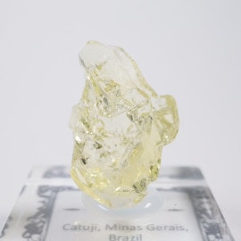 Catuji�� �إꥪ�ɡ���