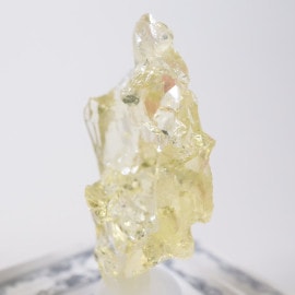 Catuji�� �إꥪ�ɡ���