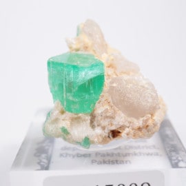 �ѥ������� �������