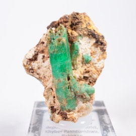 �ѥ������� �������