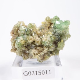 �ޥ��������뻺 �ǥޥ�ȥ��ɥ����ͥå�