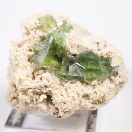 �ޥ��������뻺 �ǥޥ�ȥ��ɥ����ͥå�