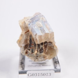 Pili�ۻ��� ���˥ǥ���ʥࡼ�󥹥ȡ����