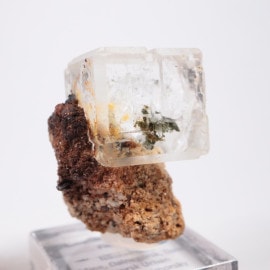 ����ͥ��륹���� �ե����饤��