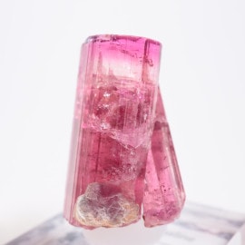 Cruzeiro�ۻ��� �ȥ�ޥ��