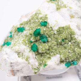 �ĥ�ֹۻ��� �������ץơ���