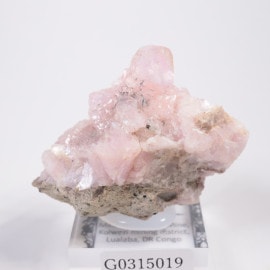 ���󥴻� ���Х�ȥ��륵����