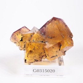 ����Υ����� �ե����饤��