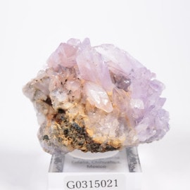 �ᥭ������ ���꡼�����ȡʥ��꡼���С�