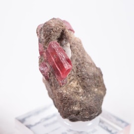 Morro da Mina�ۻ��� �����ɥʥ���