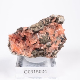 Potosi�ۻ��� �����ɥ���������