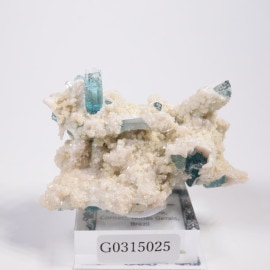 Golconda�ۻ��� �ȥ�ޥ��