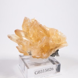 Rucks Pit���������Х��륵����