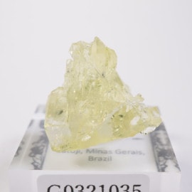 Catuji�� �إꥪ�ɡ���