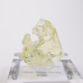 Catuji�� �إꥪ�ɡ���