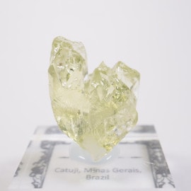 Catuji�� �إꥪ�ɡ���