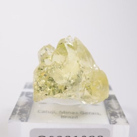 Catuji�� �إꥪ�ɡ���