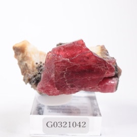 Morro da Mina�ۻ��� �����ɥʥ���