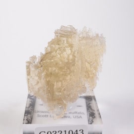 Linwood�ۻ� �Х饤��