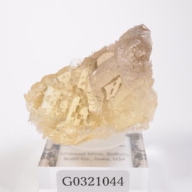 Linwood�ۻ� �Х饤��