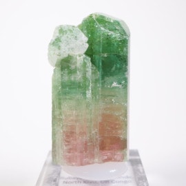 ���󥴻� �ȥ�ޥ��