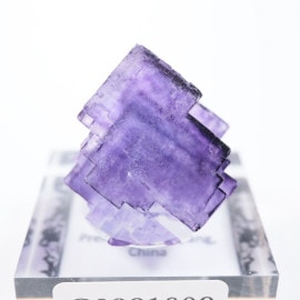 ��� �ե����饤��